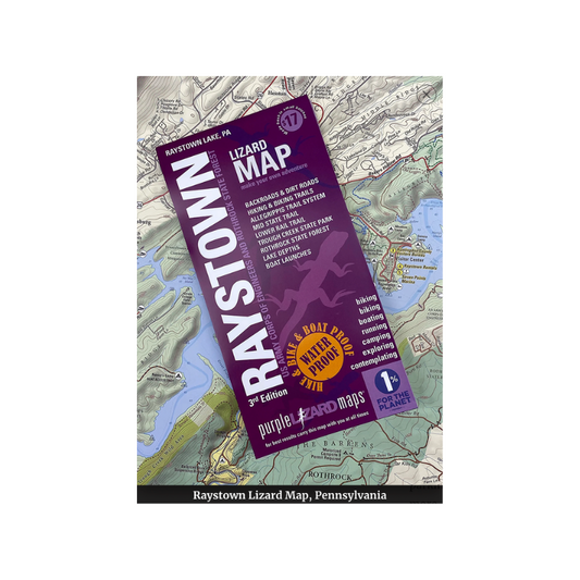 Map - Purple Lizard - Raystown - SALE!